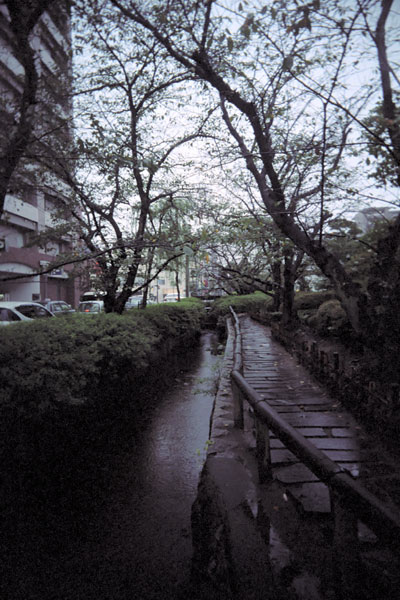 d0036630_10533014.jpg