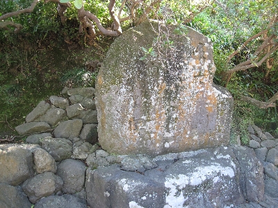 b0181333_2014356.jpg