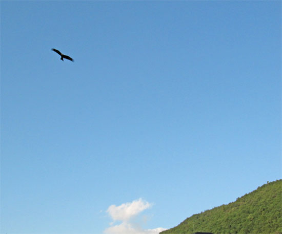 a0095337_14463321.jpg