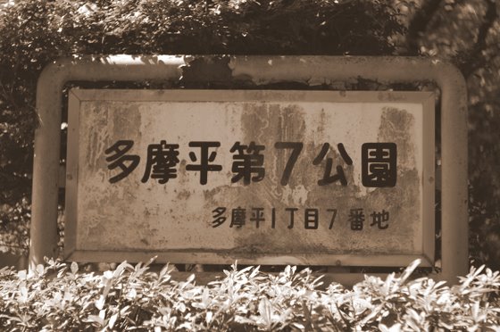 c0228937_19502919.jpg