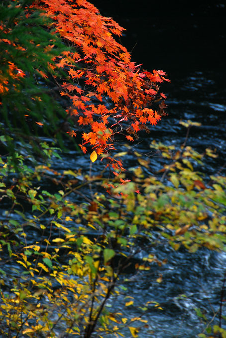 b0075541_4175846.jpg