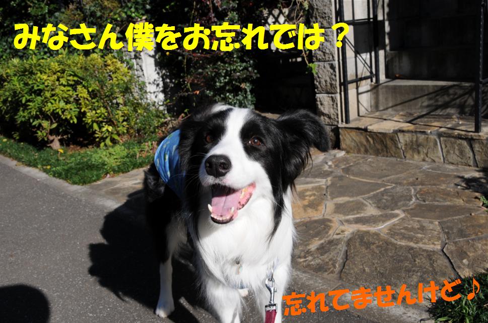 c0147241_2340218.jpg