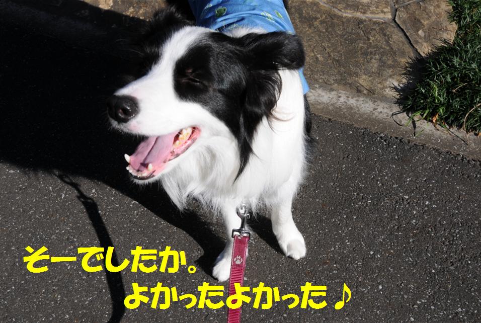 c0147241_23411888.jpg
