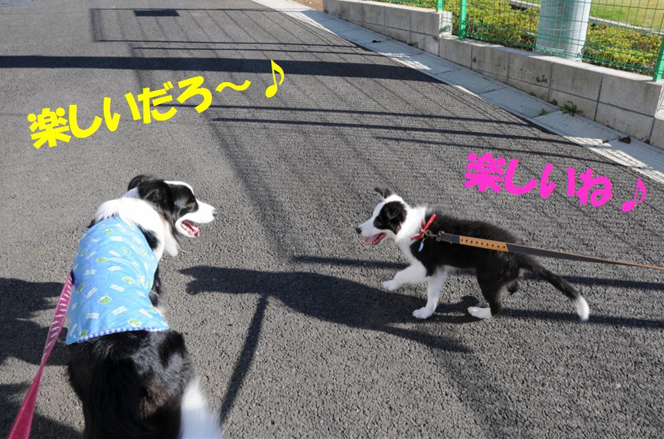 c0147241_23434261.jpg