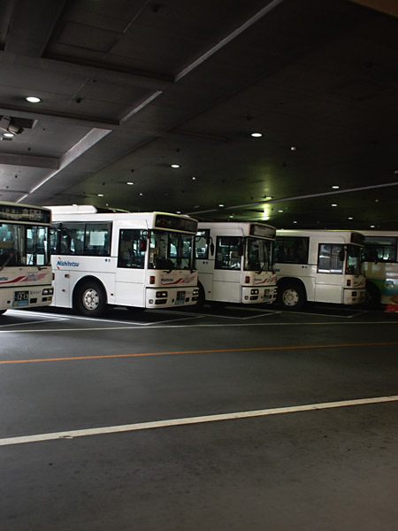 d0093043_1735659.jpg