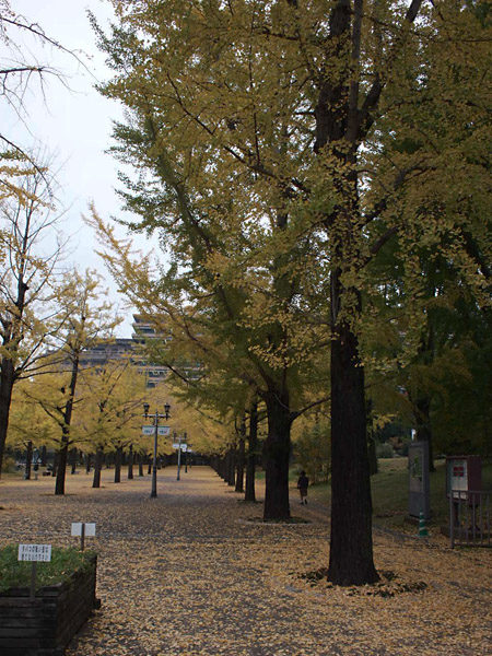 d0093043_2112815.jpg
