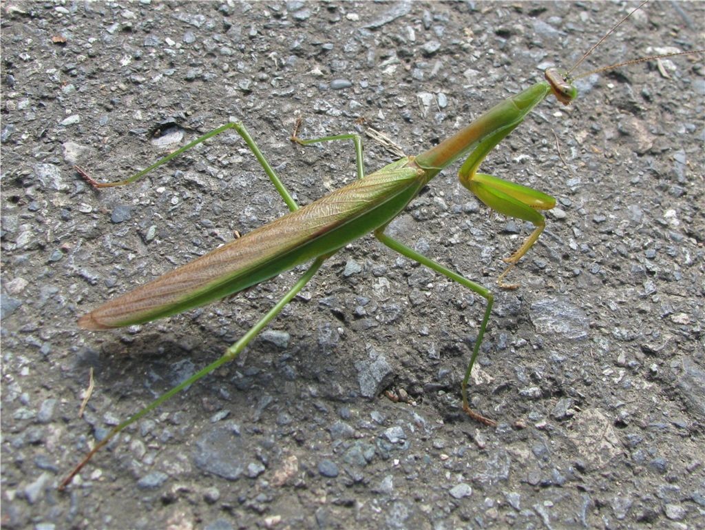 f0151044_6182725.jpg