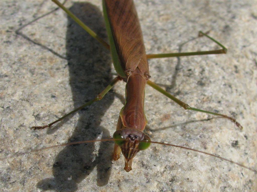 f0151044_6184158.jpg