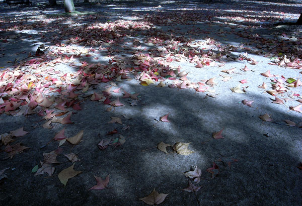 e0136745_19425467.jpg