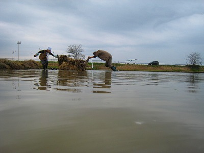 b0179047_7442276.jpg