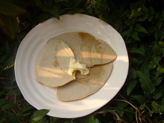 a0068350_685550.jpg