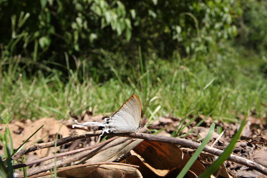 a0094850_2059311.jpg