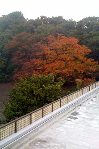 e0050753_18255612.jpg