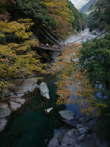 f0186753_11355169.jpg