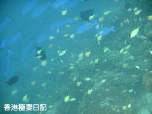 f0190653_9202079.jpg