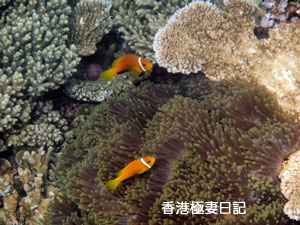 f0190653_9213874.jpg