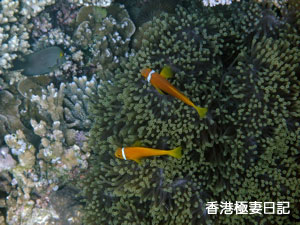 f0190653_9215240.jpg