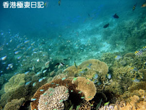 f0190653_9222487.jpg