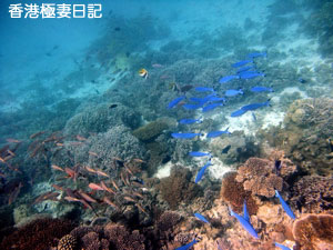 f0190653_9231413.jpg