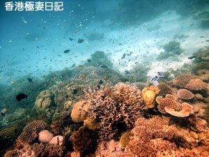 f0190653_924870.jpg