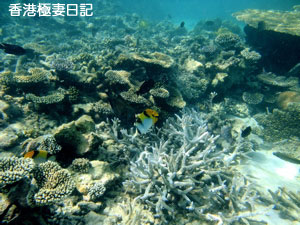 f0190653_926664.jpg