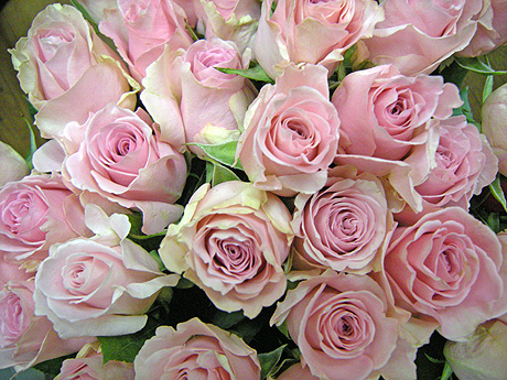 a0001354_23155432.jpg