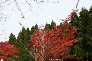 c0208355_16374669.jpg