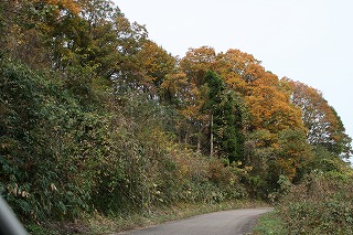 c0208355_16375125.jpg