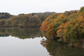c0208355_1638085.jpg
