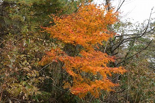 c0208355_1638471.jpg