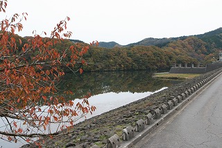 c0208355_1638990.jpg