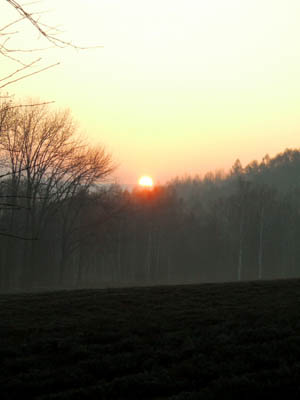 c0097856_151465.jpg