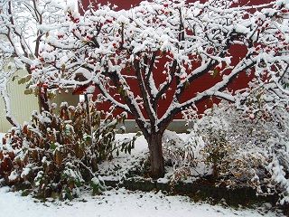 e0004756_2121017.jpg