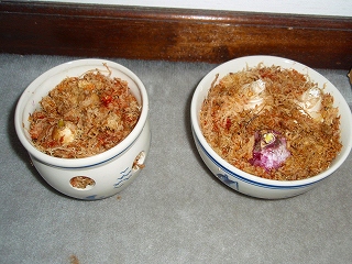 e0004756_2194692.jpg