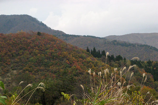 f0007956_1154988.jpg
