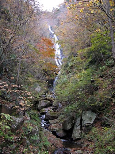 f0007956_116645.jpg