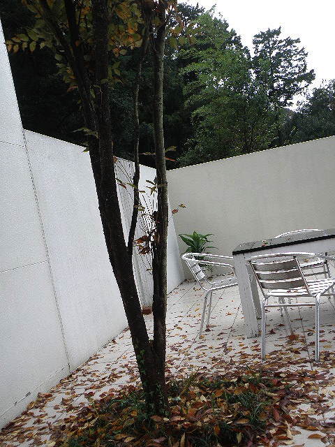 e0184558_8252192.jpg