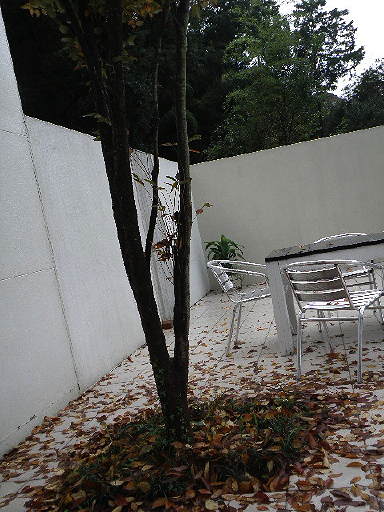 e0184558_8455026.jpg