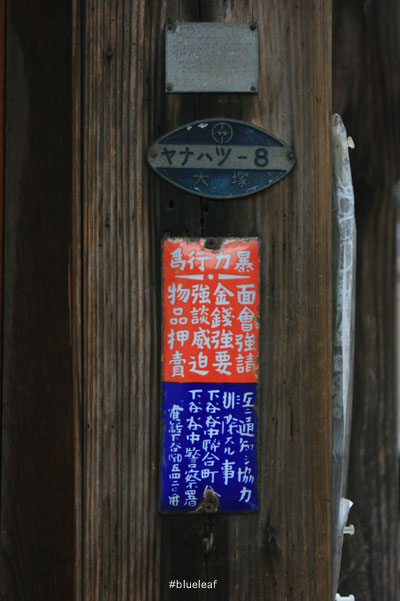 c0027369_16282261.jpg