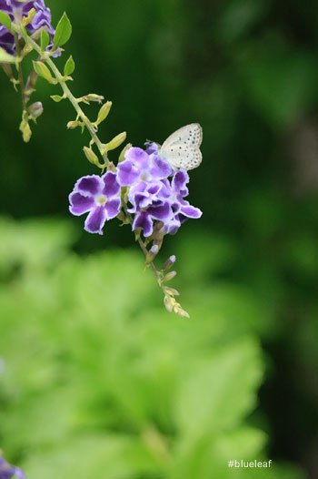 c0027369_16334775.jpg