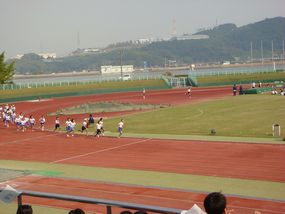 f0134669_1221522.jpg