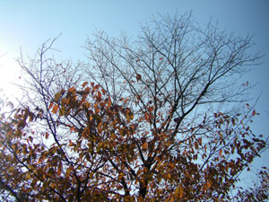 b0174875_1034584.jpg