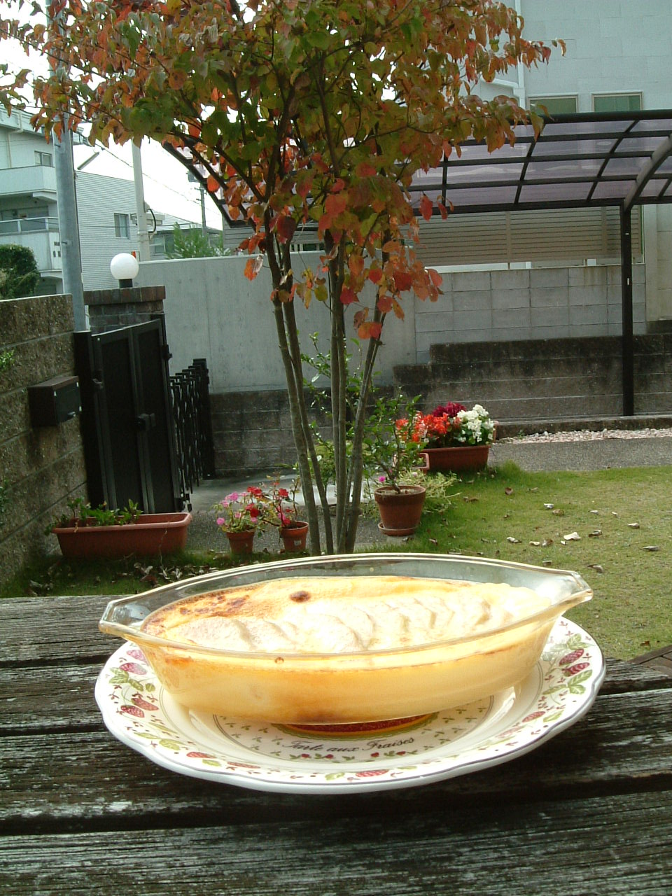 b0086377_1193698.jpg