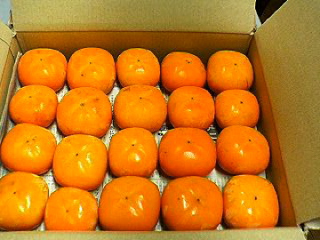 f0054677_9243238.jpg