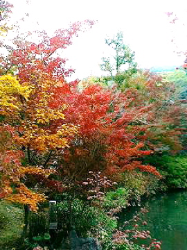 f0054677_9263867.jpg