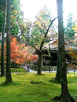 f0054677_9291712.jpg