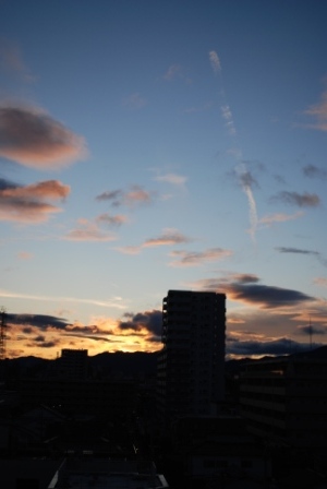 a0133886_20361310.jpg