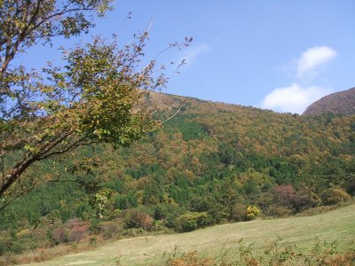 a0131387_0283863.jpg