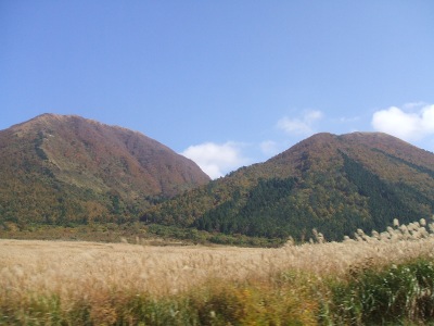 a0131387_0291560.jpg