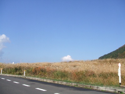 a0131387_0301751.jpg